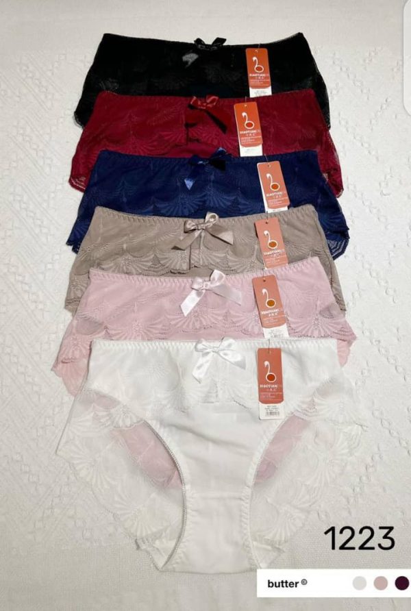 ladies panty stylish